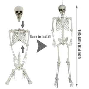 Pink Full Body Posable Skeleton/Sound Activated - Thumbnail Image 4