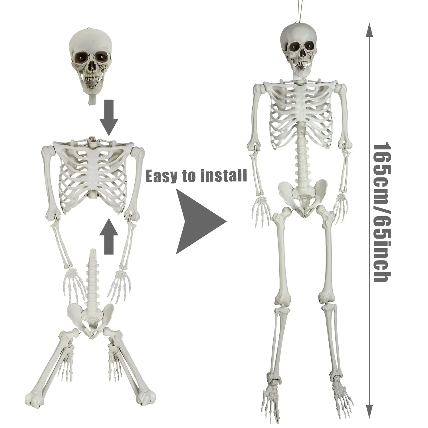 Pink Full Body Posable Skeleton/Sound Activated - Image 4